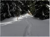 Zgornji Goreljek - Javorov vrh (Pokljuka)